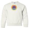 Heavy Blend™ Youth Sweatshirt Thumbnail